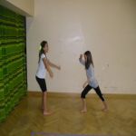 Capoeira   22